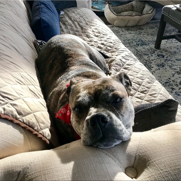 Meet your Posher, Robert - Picture 1 of 1